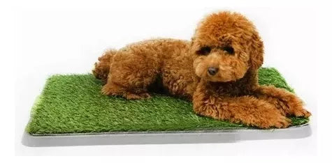Baño P/ Mascota Portátil Ecológico Entrenamiento Potty Patch