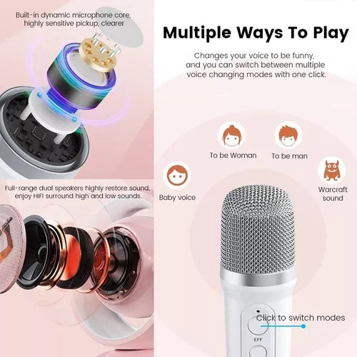 Parlante Altavoz Para Karaoke + Micrófonos Bluetooth Ys-110