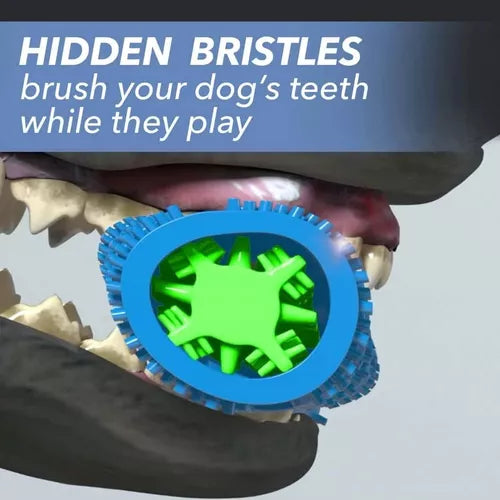 Juguete Hueso Para Perros Cepillo Limpieza Dental Chewbrush Color Azul