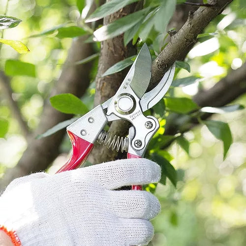 Tijeras De Podar Ramas De Árbol Frutales Flores Jardín