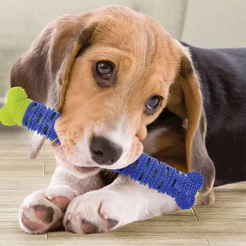 Juguete Hueso Para Perros Cepillo Limpieza Dental Chewbrush Color Azul