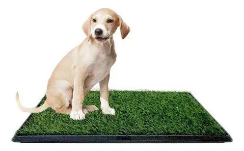Baño P/ Mascota Portátil Ecológico Entrenamiento Potty Patch
