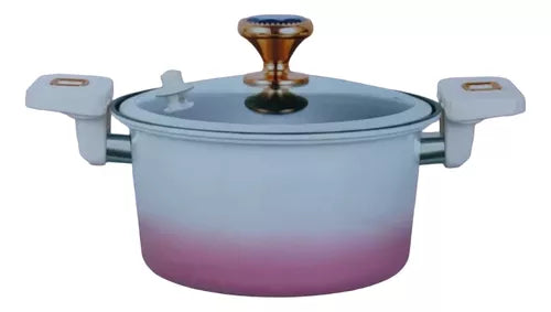 Mini Olla De Micro Presión 4.5lts 24cm Multifuncional