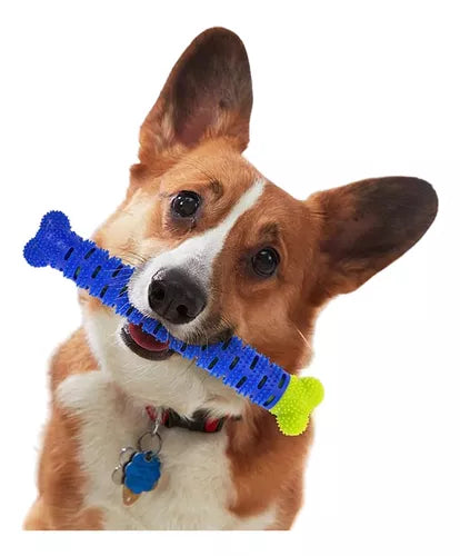 Juguete Hueso Para Perros Cepillo Limpieza Dental Chewbrush Color Azul