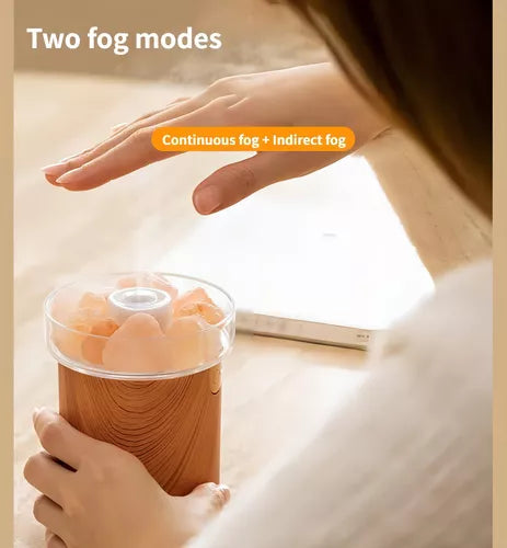 Humidificador Roca Salina Del Himalaya Salt Rock Aromaterapi Color Marrón oscuro