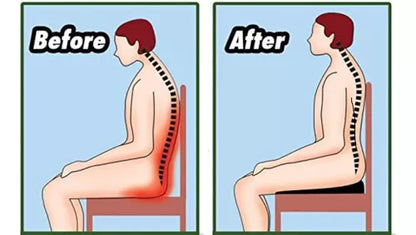 Cojín Ortopédico Lumbar Alineación Asiento Ergonómico
