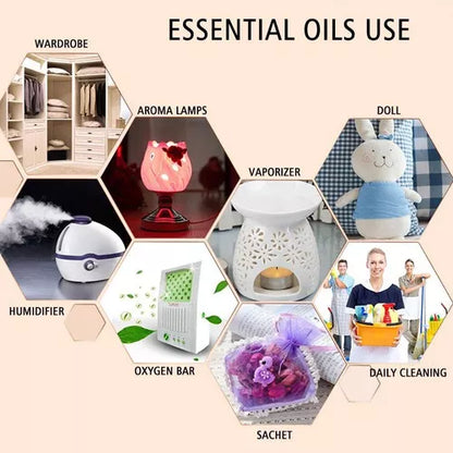 Pack 12 Esencias De Aceites Aromáticos Aroma Humidificadores
