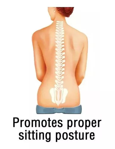 Cojín Ortopédico Lumbar Alineación Asiento Ergonómico